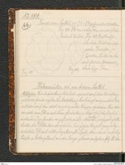 Seite 70, Tagebuch "Palästina (Tagebuch)" (NHMW-PRAE-BBB-80)
